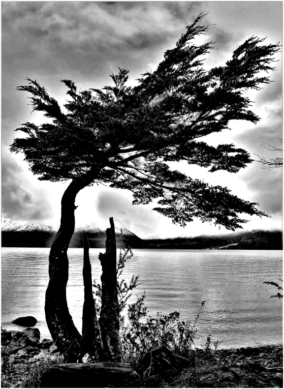 Gletschersee in Patagonien JK_SW_Gletschersee_Patagonien