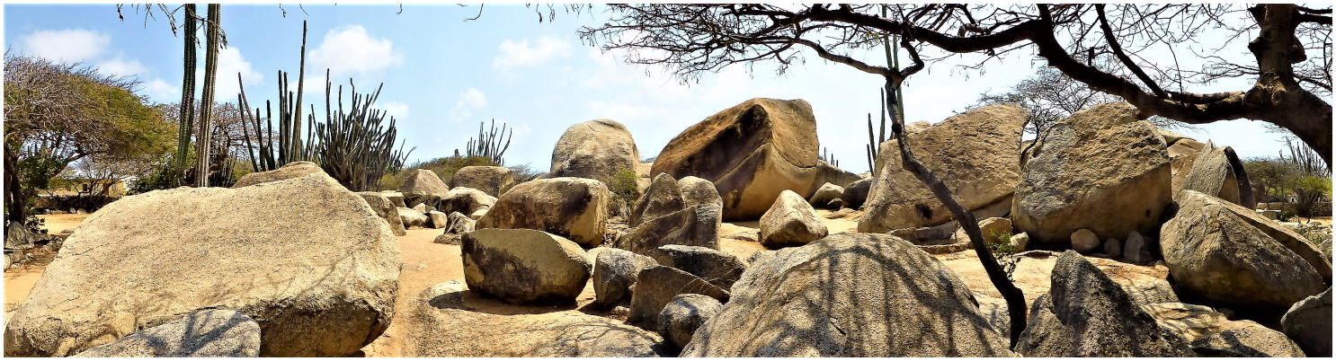 Steingarten auf Aruba JK_Steingarten_Aruba