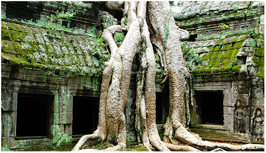 Tempel in Angkor, Kambodscha JK_Tempel_Angkor