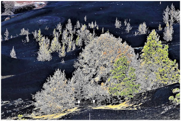 JK_La_Palma Ein Jahr nach dem Vulkanausbruch auf La Palma