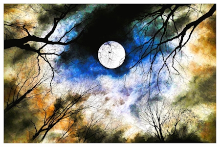 Vollmondnacht Vollmondnacht