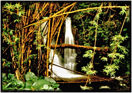 Wasserfall im Bambuswald auf Hawaii JK_Wasserfall_Bambuswald_Hawaii